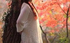 给个网站你懂得2014